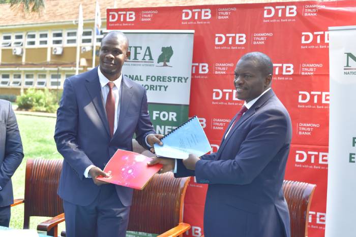  DTB partners with NFA to restore Kasonke Central Forest Reserve