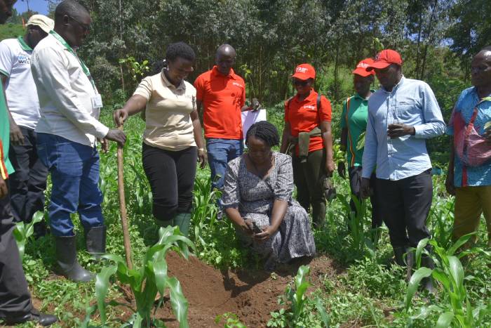  DTB and NFA partner to restore Kasonke Forest Reserve in Masaka